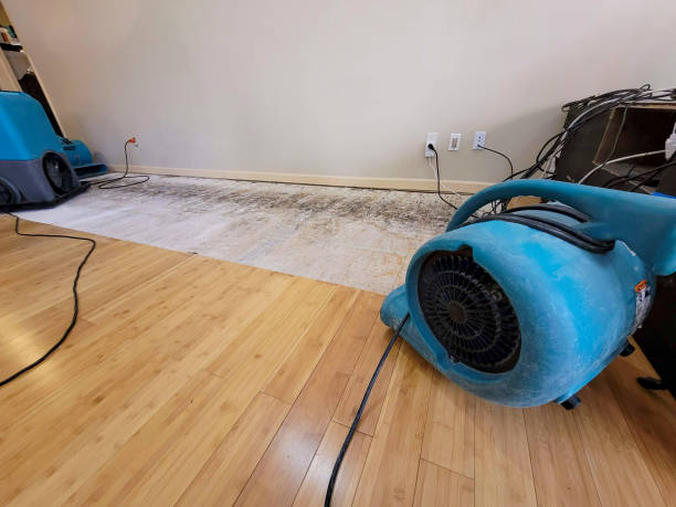 Professional Structural Drying technician working in Damariscotta, ME